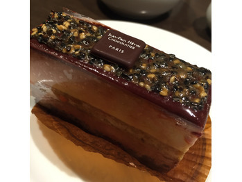 チョコ(´〜`)_20161108_1
